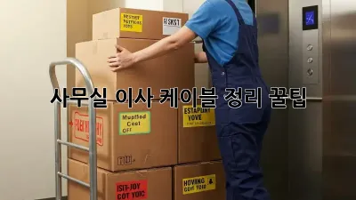 사무실 이사, 케이블 정리 꿀팁!