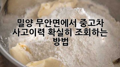 밀양 무안면에서 중고차 사고이력, 확실히 조회하는 방법!